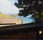 Fort Fleur