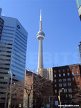 Downtown Toronto. CN Tower