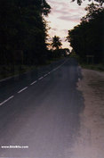 A Road in Marie Galante